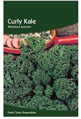 CYBEXIS Curly Kale Westland Autumn Seeds2000 Seeds Seed(2000 per packet)