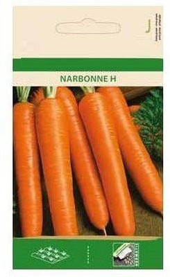CYBEXIS Carrot NARBONNE H Seeds2000 Seeds Seed(2000 per packet)
