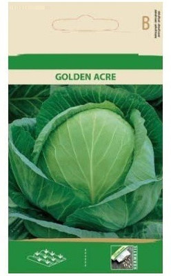 CYBEXIS White Cabbage Golden Acre Seeds2000 Seeds Seed(2000 per packet)