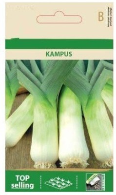 CYBEXIS Leek KAMPUS Seeds4000 Seeds Seed(4000 per packet)