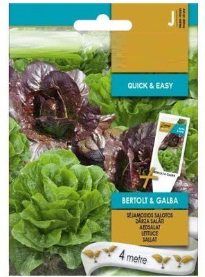 CYBEXIS Lettuce Bertolt GALBA Seeds4000 Seeds Seed(4000 per packet)