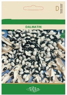 CYBEXIS Shell Beans DALMATIN Seeds800 Seeds Seed(800 per packet)