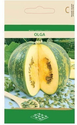 CYBEXIS Squash/Pumpkin OLGA Seeds400 Seeds Seed(400 per packet)