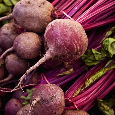 CYBEXIS High Germination Beetroot Seeds 1000 Seeds Seed(1000 per packet)