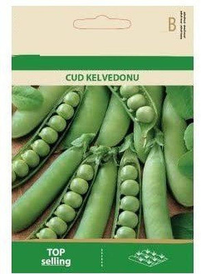 CYBEXIS Wrinkled Pea Cud KELVEDONU Seeds800 Seeds Seed(800 per packet)