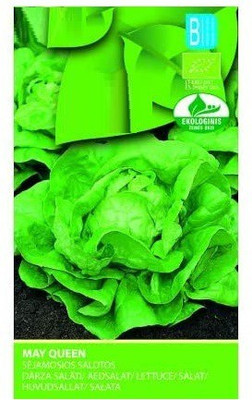 CYBEXIS Lettuce May Queen Seeds2000 Seeds Seed(2000 per packet)