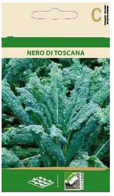 CYBEXIS Curly Kele NERO DI TOSCANA Seeds2000 Seeds Seed(2000 per packet)