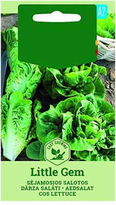 CYBEXIS Lettuce GEM Seeds4000 Seeds Seed(4000 per packet)