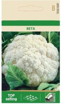 CYBEXIS Cauliflower BETA Seeds2000 Seeds Seed(2000 per packet)