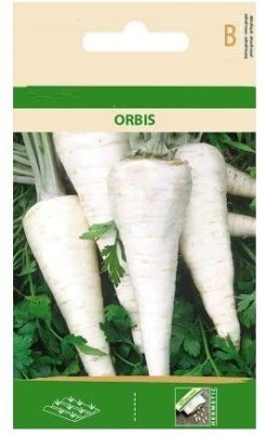 CYBEXIS Parsley ORBIS Seeds2800 Seeds Seed(2800 per packet)