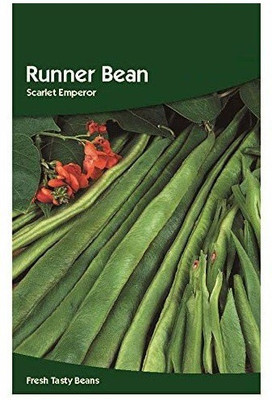 CYBEXIS Runner Bean Scarlet Emperor Seeds800 Seeds Seed(800 per packet)