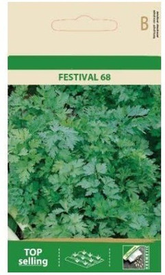 CYBEXIS Parsley Festival Seeds700 Seeds Seed(700 per packet)