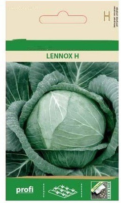 CYBEXIS White Cabbage Lennox H Seeds2000 Seeds Seed(2000 per packet)