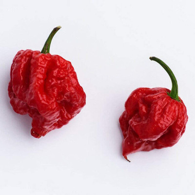 Qualtivate ® Carolina Reaper Pepper Chilli Seed(1000 per packet)