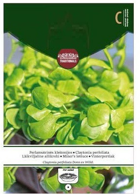 CYBEXIS Miner's Lettuce Seeds1000 Seeds Seed(1000 per packet)