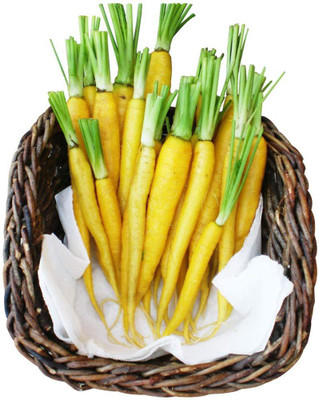 Qualtivate ® Organic Yellow Carrot Seeds Seed(100 per packet)