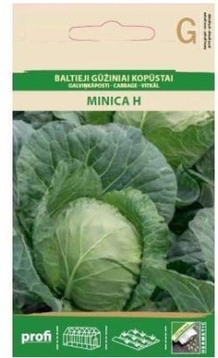 CYBEXIS Cabbage White Minica H, Early Seeds2000 Seeds Seed(2000 per packet)