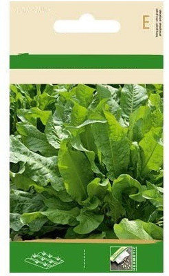 CYBEXIS Spinach Dock Seeds2000 Seeds Seed(2000 per packet)