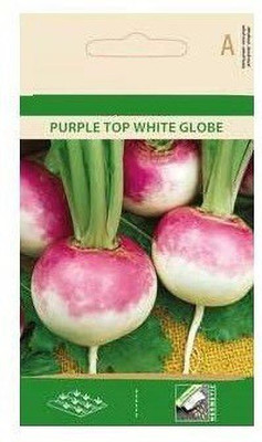 CYBEXIS Turnip Purple TOP White Globe Seeds2000 Seeds Seed(2000 per packet)