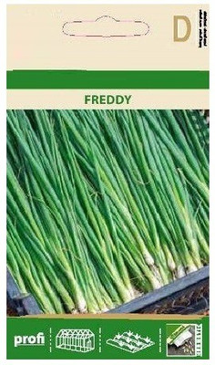 Qualtivate ® Spring Onion FREDDY Seeds Seed(500 per packet)