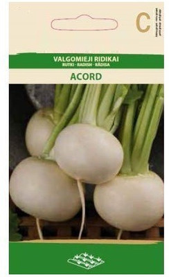 CYBEXIS Radish ACORD Seeds2400 Seeds Seed(2400 per packet)