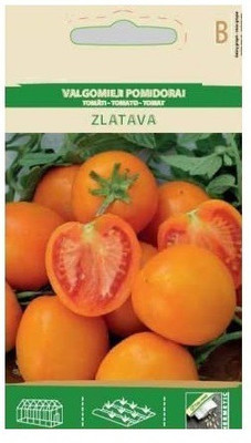 CYBEXIS Tomato ZLATAVA Seeds2000 Seeds Seed(2000 per packet)