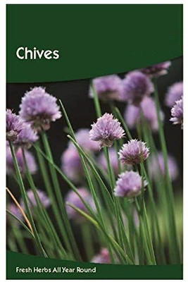CYBEXIS Chives Seeds2800 Seeds Seed(2800 per packet)