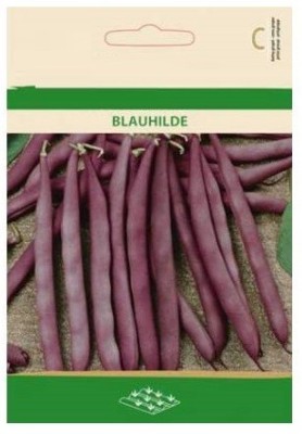 CYBEXIS Climbing French Bean Seeds400 Seeds Seed(400 per packet)