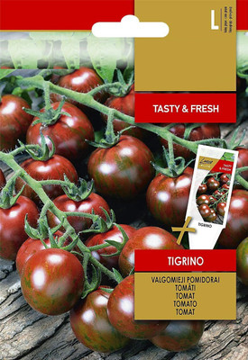 CYBEXIS Tomato TIGRINO Seeds2000 Seeds Seed(2000 per packet)