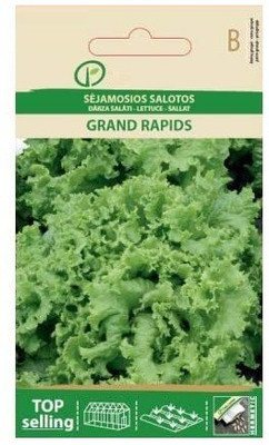Qualtivate ® Lettuce Grand Rapids Seeds Seed(500 per packet)