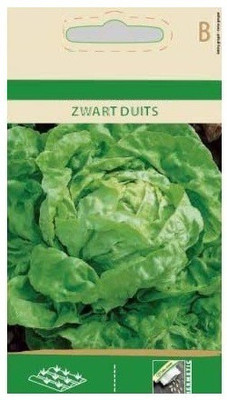CYBEXIS Lettuce Zwart duits, Butterhead, Green Seeds2000 Seeds Seed(2000 per packet)