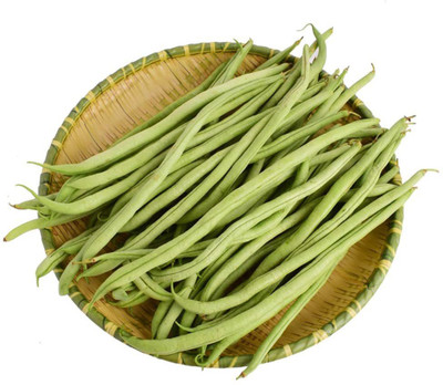 CYBEXIS Bush Bean Seeds-100 Seeds Seed(100 per packet)