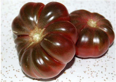 Qualtivate ™ Tomato - Purple Calabash Seeds (Organic/BIO) Seed(100 per packet)