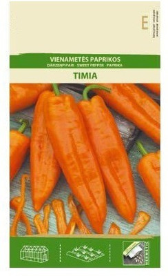 Qualtivate Capsicum Orange Seed(1000 per packet)
