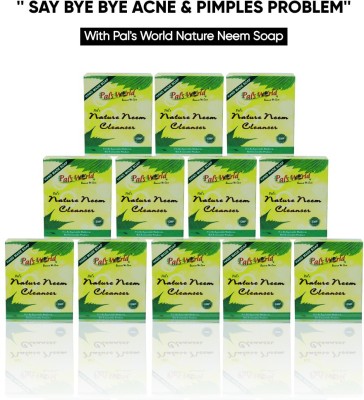 Pal's World Mini Pure Nature Neem Soap - Blemishes and Allergy Removal Ayurvadic Formula(12 x 35 g)