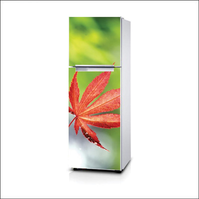 Artway 60 cm Autum Leaf-019 Self Adhesive Sticker(Pack of 1)