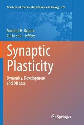 Synaptic Plasticity(English, Paperback, unknown)