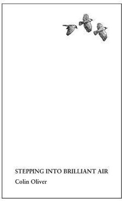 Stepping Into Brilliant Air(English, Hardcover, Oliver Colin)
