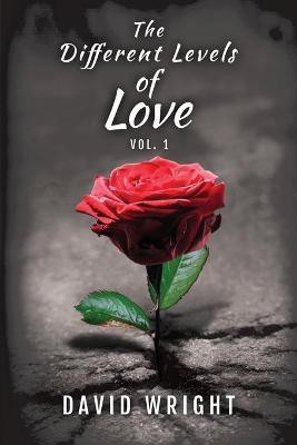 The Different Levels of Love, Volume 1(English, Paperback, Wright David)