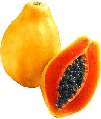 Farmonix Super Sweet Papaya Seed Seed(250 per packet)