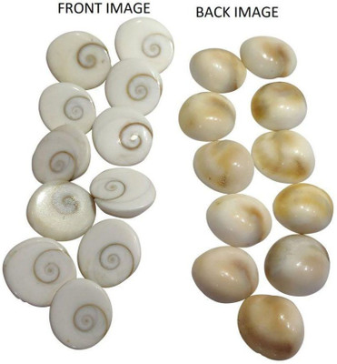 Sadashiv -Gomti Chakra 11 Pieces Natural White Gomati Stone Energized Gomti Chakra for Financial Growth and Wealth Laxmi Prapti Gomti Chakra Stoneware Yantra(Pack of 1)