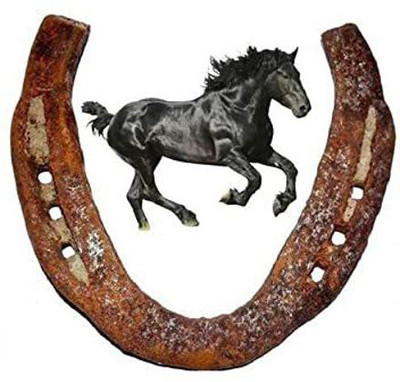 Sadashiv Kale Godhe ki naal/Black Horse Shoe/ghore ki naal/Horse Shoe for Good Luck/Naal to Protect Your Home/Office from Evil Eyes,(Brown) Iron Yantra(Pack of 1)