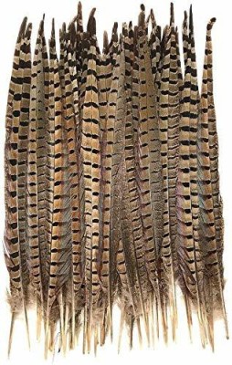 Tiptop Decoration Natural Long Golden Yellow Black Striped Tail Feather Quills (40-42 Cm) (3 Pieces)