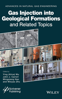 Gas Injection into Geological Formations and Related Topics(English, Hardcover, unknown)