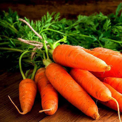 ZIFR Orange Carrot Vegetable Seed(1000 per packet)