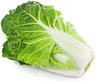 XOLDA Hybrid Chinese Cabbage Seed(32 per packet)