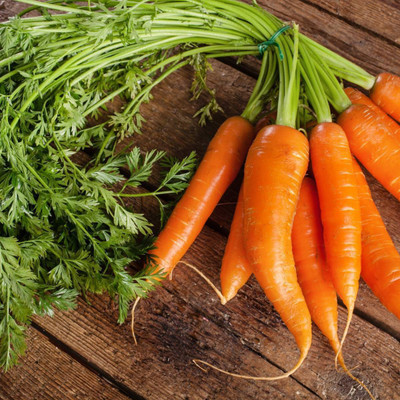 XOLDA Hybrid Carrot Seed(57 per packet)