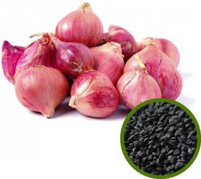 Chalisa Allium cepa Seed(115 per packet)