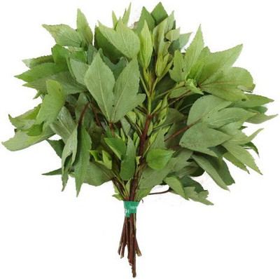 XOLDA Ambada/Gongura Seed(55 per packet)