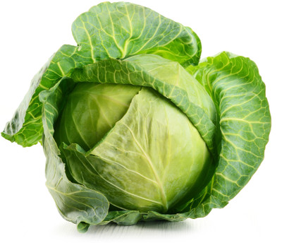 XOLDA Hybrid Cabbage Seed(12 per packet)